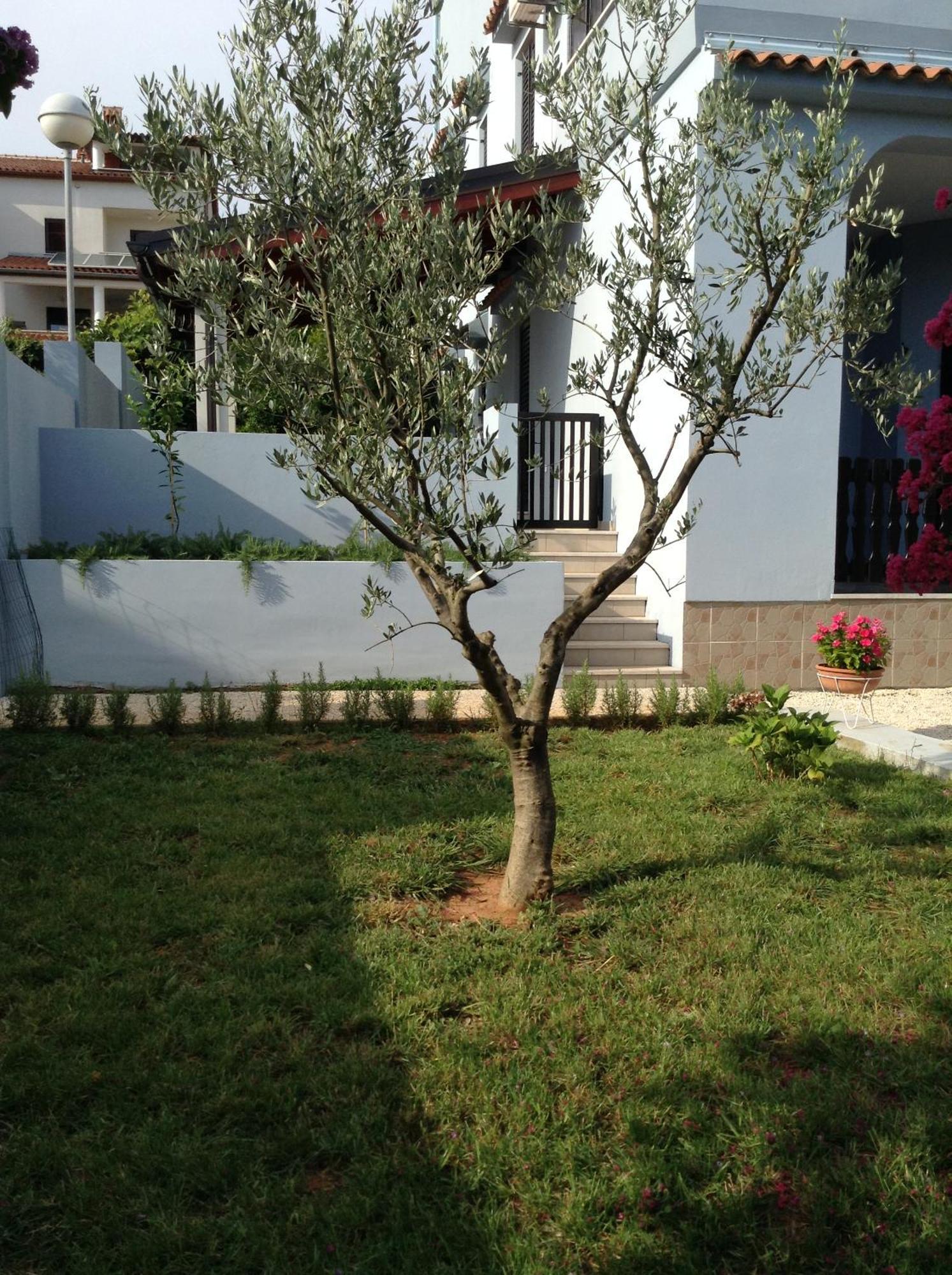 The Blue House Apartment Vinkuran Bagian luar foto